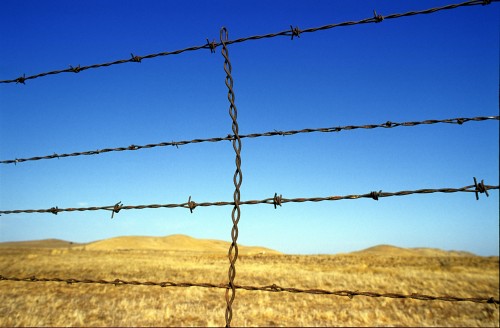 Rush Ranch Barded Fence