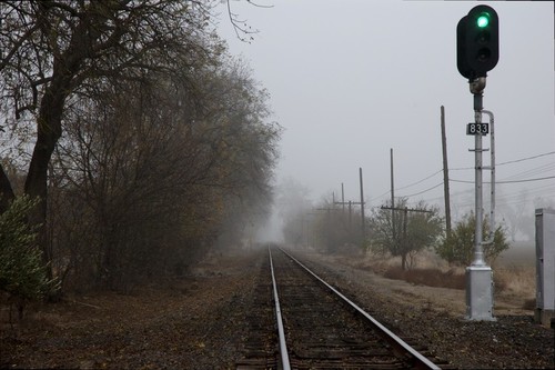 Morning Fog