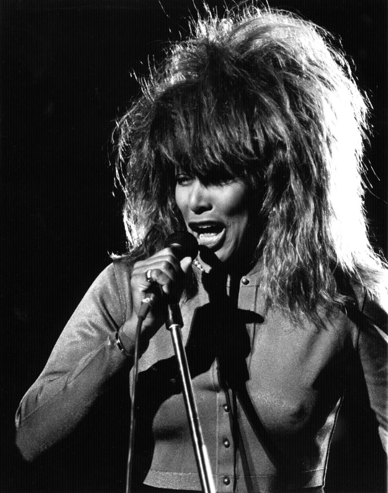 David Whittemore's Two Hundred Fifty Pixels Wide : Tina Turner ( Camera ...